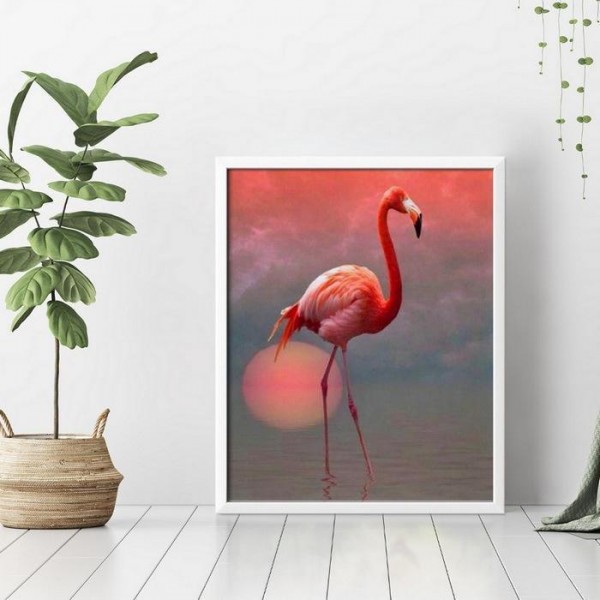 Flamingo solitario