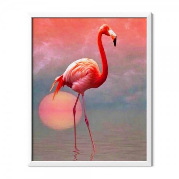 Flamingo solitario