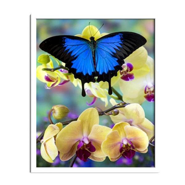 Mariposa y orquídea